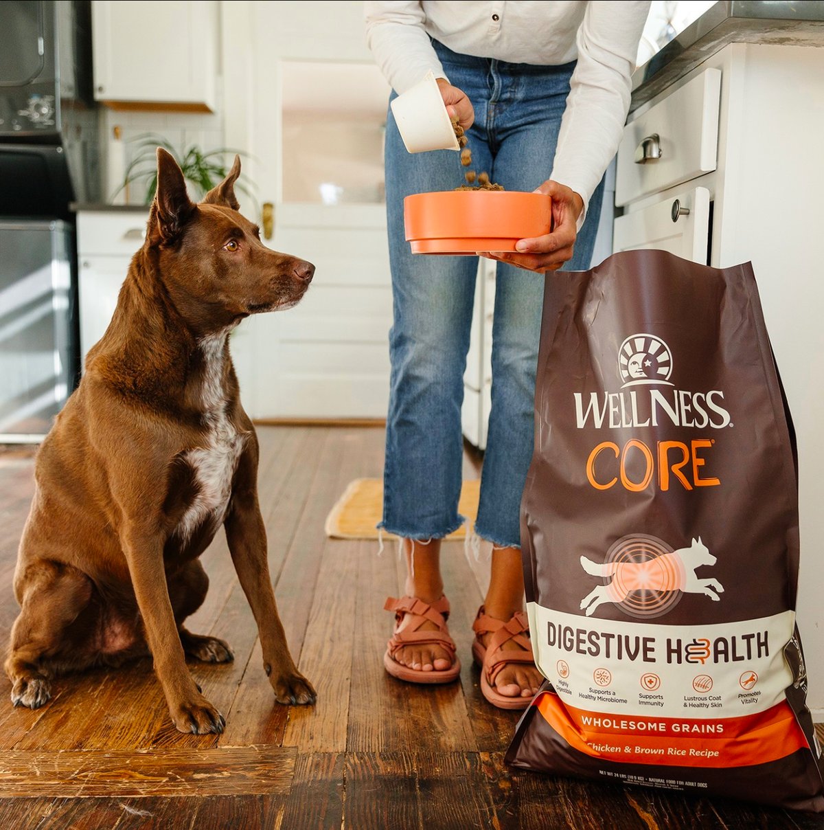 9 Best Pet Supplies Companies for PetCare Businesses