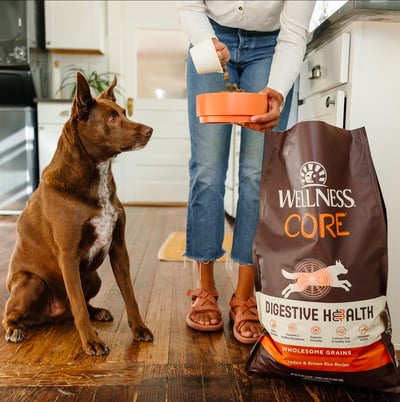 Wellness Pet Food