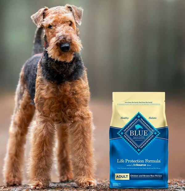 9 Best Pet Supplies Companies for PetCare Businesses