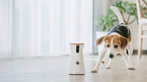 Tech Trends in the Pet-Care Industry for 2024