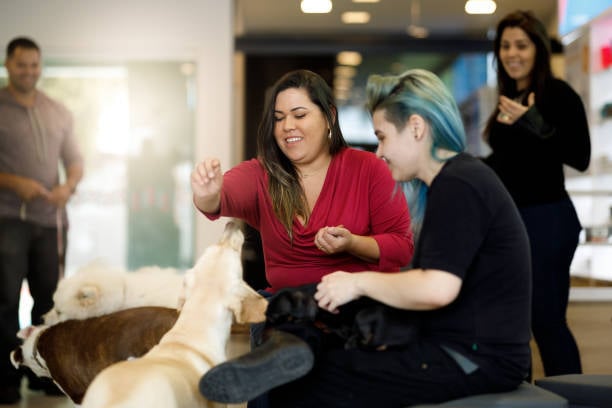 happy people smiling inside a bustling dog pet-care business
