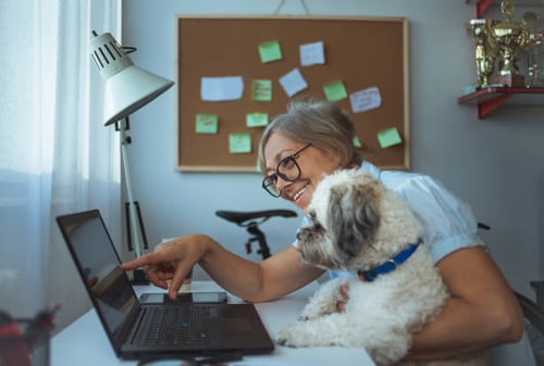 Fetching Success: Using Content Marketing to Engage Pet Owners