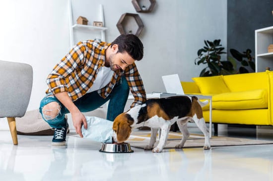 A man feeds his dog inside