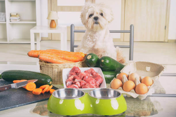 The Future of Pet Food: Innovations and Trends