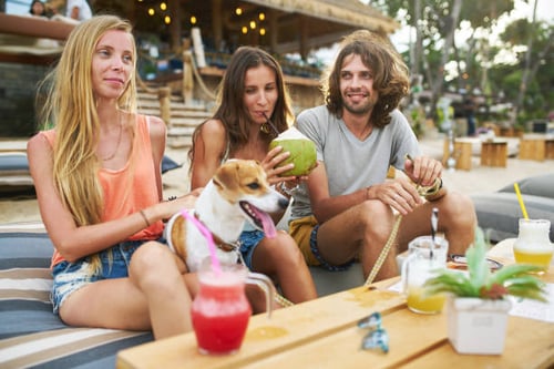 5 Unique Dog Bar Concepts That Are Redefining The Pooch Business World