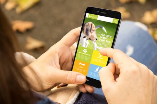 The Power of Digital Marketing in Pet Care: Unlocking Success