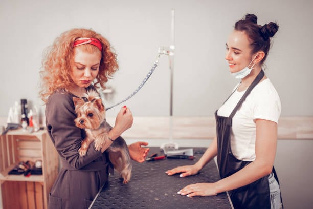 dog groomer and pet parent