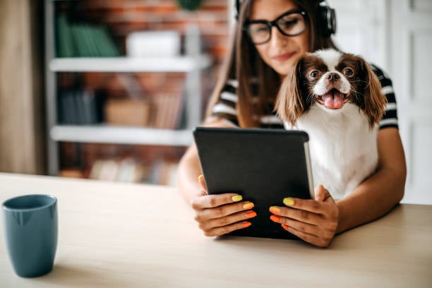 pet services owner tracking data on iPad with happy dog