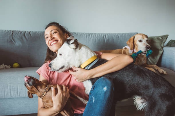 happy pet sitter hugging a back go energetic dogs