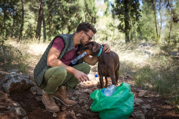 Eco-Friendly Practices in Dog Care
