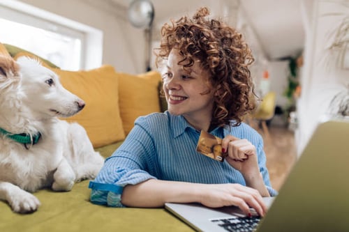 Transform Your Pet-Care Business with Gingr: The Ultimate Pet-Care Software Solution
