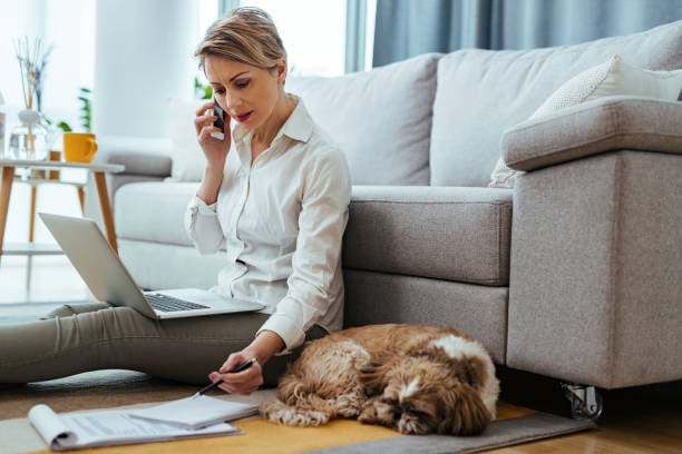 Legal Considerations for Pet-Care Businesses