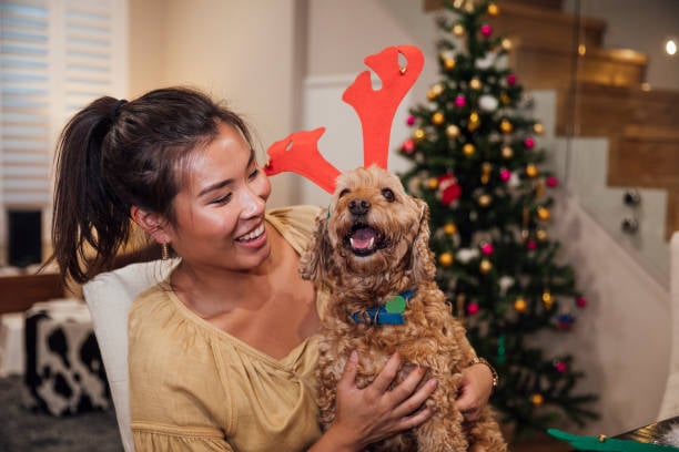 woman and dog with Christmas costume and decor