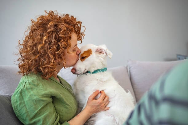 Navigating Global Pet-Care Trends and Their Impact on Your Business