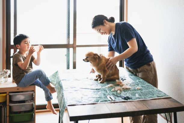 dog groomer and child with pup