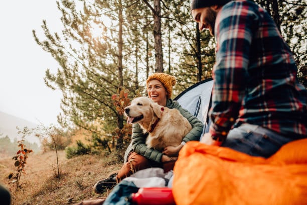 A dog and owner go hiking