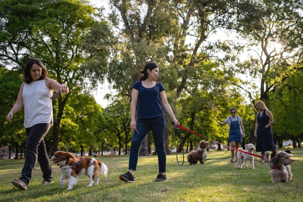 members outside at then dog park