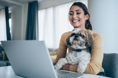 Fetching Success: Using Content Marketing to Engage Pet Owners