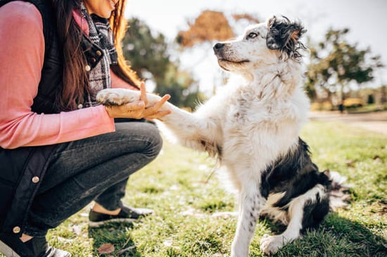 A woman holds a dog's paw outside