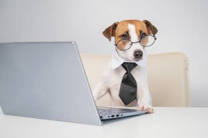 Pet-Care Business Social Media Marketing: A Crash Course