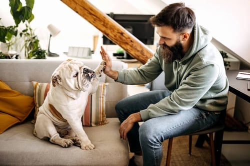 Paws-itively Effective Pet-Care Marketing Strategies
