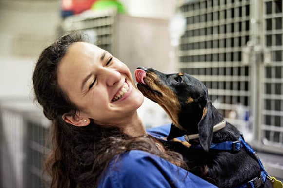A dog licks a person's face