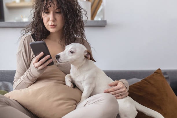 pet parent checking phone for reminder