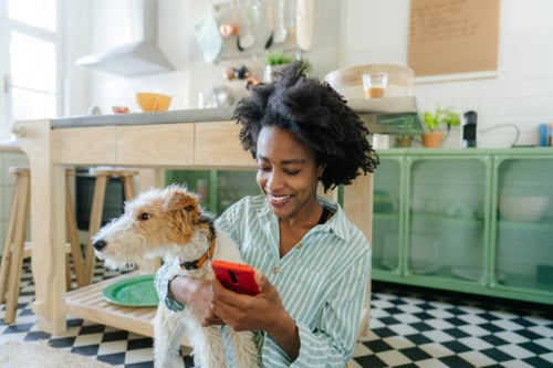 Kuinka sosiaalinen media muuttaa koiranpäivähoitoyrityksiä