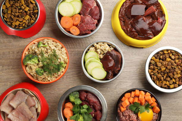 The Future of Pet Food: Innovations and Trends