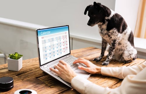 Pet-Care Business Social Media Marketing: A Crash Course