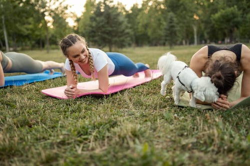 Hosting Charity Events at Your Dog Daycare or Kennel