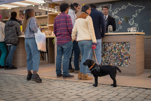 busy desk at pet business