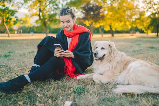 This image is of a woman and her dog looking at her cell phone, illustrating Gingr's online booking feature.