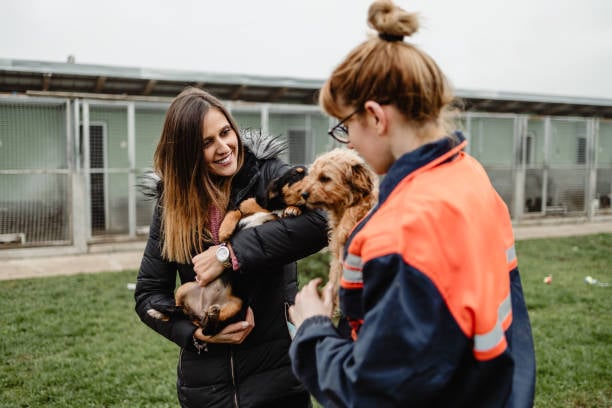 Key Strategies for Staff Training in Pet-Care Businesses