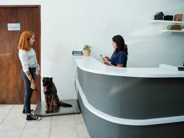 check-in worker dealing with clunky software 