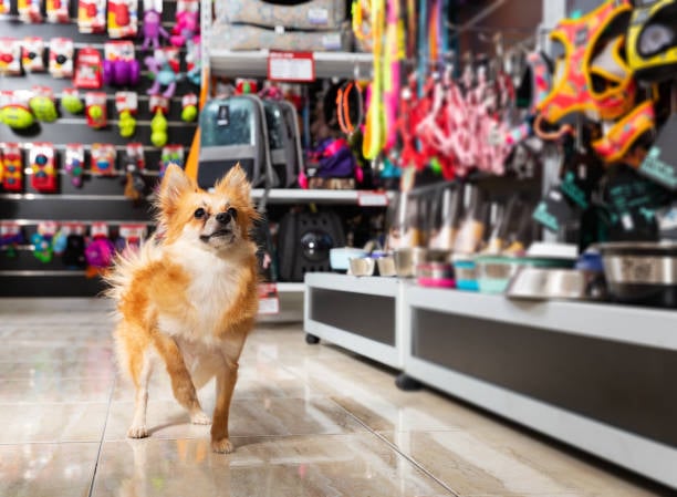 Best Practices for Inventory Management in Pet-Care Businesses