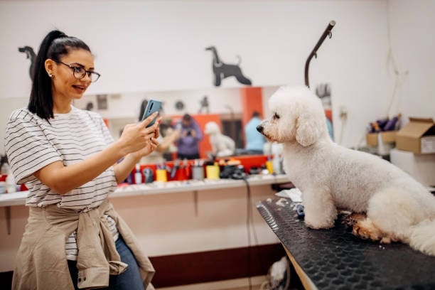 Leveraging Social Media for Your Pet-Care Business