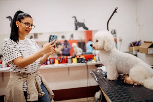 dog groomer taking photo of dog for social media