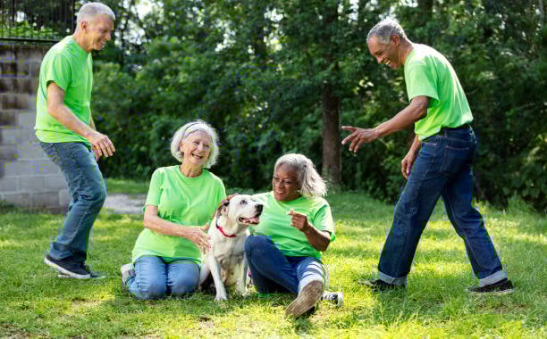 volunteers playing with a dog and having fun