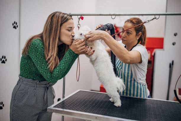 pet parent kissing her dog at the groomer