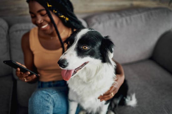 A woman uses a phone while sitting next to a dog