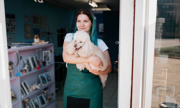A dog groomer holds a poodle dog
