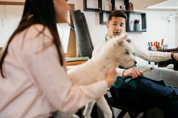 pet staff reviewing business reports with dog