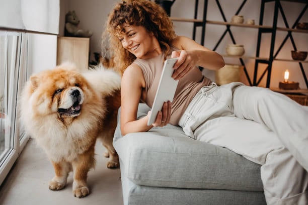 woman showing iPad to groomed dog
