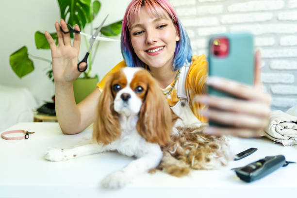 Using Social Media to Boost Your Dog Grooming Business Presence