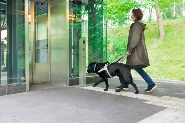 pet parent walking in to bulding with dog on leash
