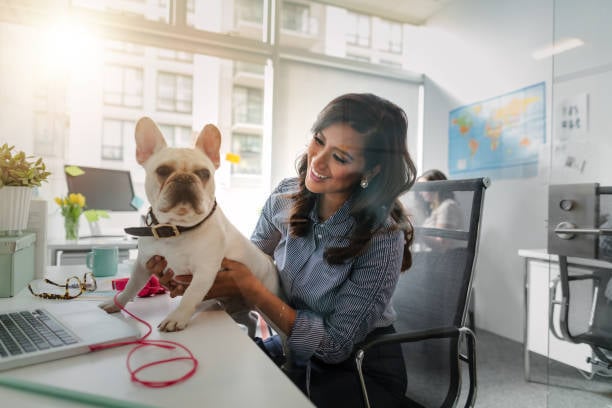pet-care businesswoman and dog at desk