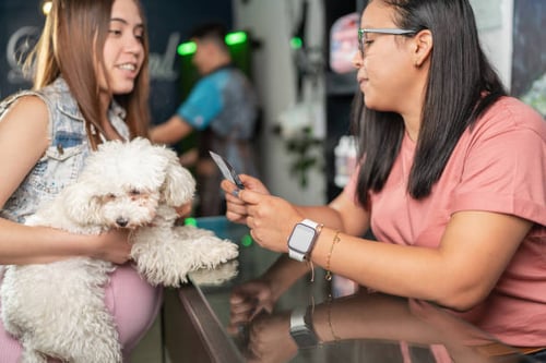 Cross-Selling and Upselling Techniques for Dog Daycares, Groomers, and Kennels