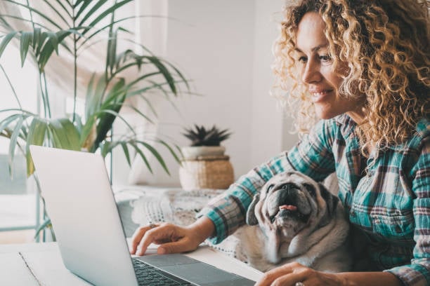 dog trainer on computer with happy dog on lap