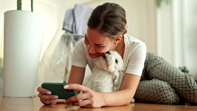 The Power of Social Media in 2024 for Pet-Care Businesses